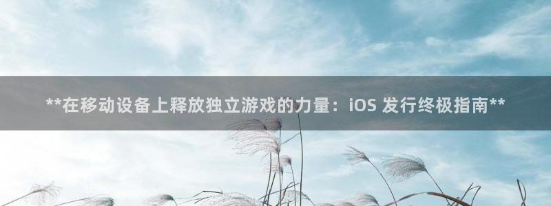 门徒平台注册中心在哪找：**在移动设备上释放独立游戏的力量：iOS 发行终极指南**