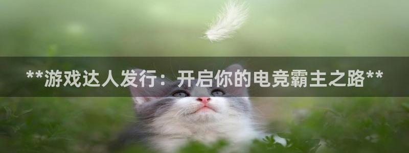 门徒娱乐平台注册登录：**游戏达人发行：开启你的电竞霸主之路**