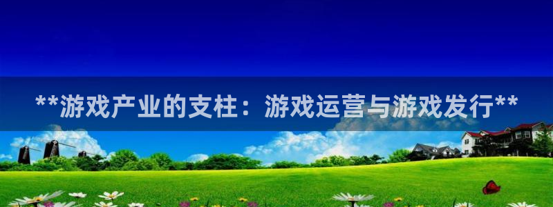 门徒平台入.门徒平台.几年了.长久.中国：**游戏产业的支柱：游戏运营与游戏发行**