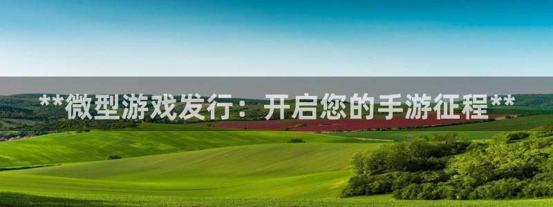 门徒娱乐注册地址：**微型游戏发行：开启您的手游征程**