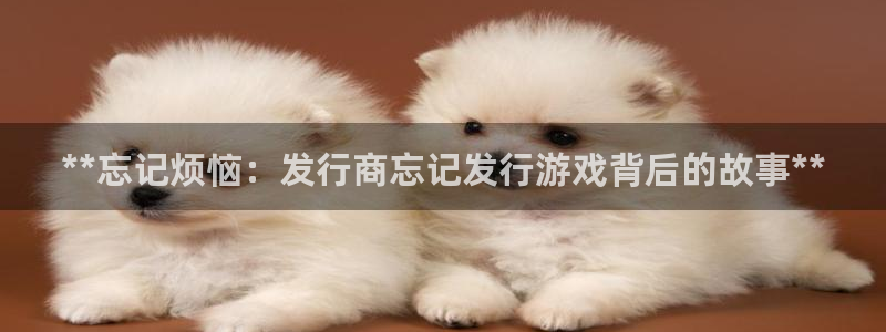 门徒平台链接：**忘记烦恼：发行商忘记发行游戏背后的故事**