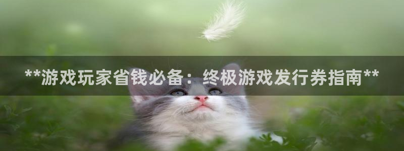 门徒平台能提款吗安全吗：**游戏玩家省钱必备：终极游戏发行券指南**