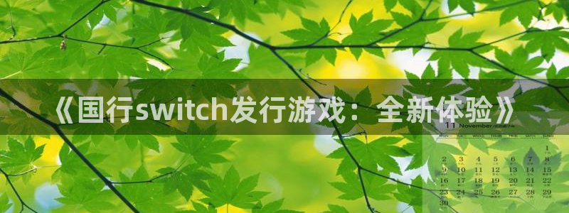 门徒娱乐怎么下载软件：《国行switch发行游戏：全新体验》