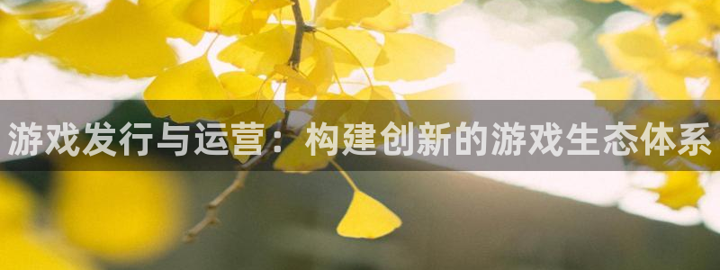 门徒平台开户怎么开的：游戏发行与运营：构建创新的游戏生态体系