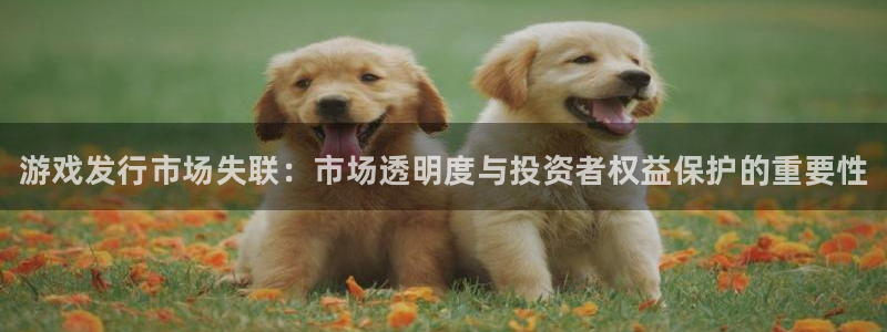 门徒平台建 411o31 门徒