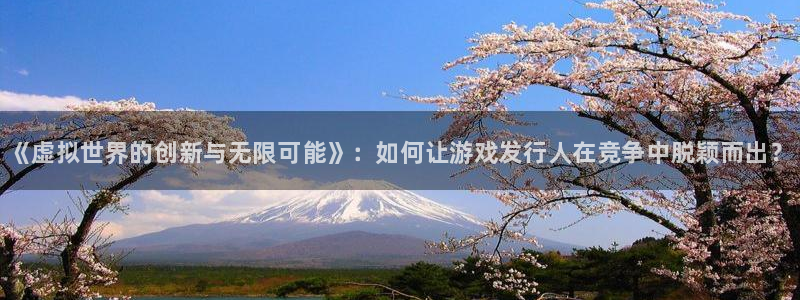 门徒平台注册中心官网：《虚拟世界的创新与无限可能》：如何让游戏发行人在竞争中脱颖而出？