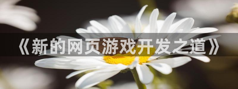 门徒平台理 411o31 门徒：《新的网页游戏开发之道》