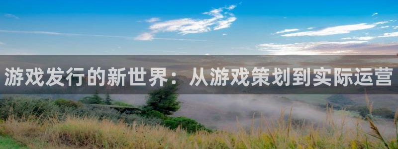 门徒平台商 411O31 门徒：游戏发行的新世界：从游戏策划到实际运营