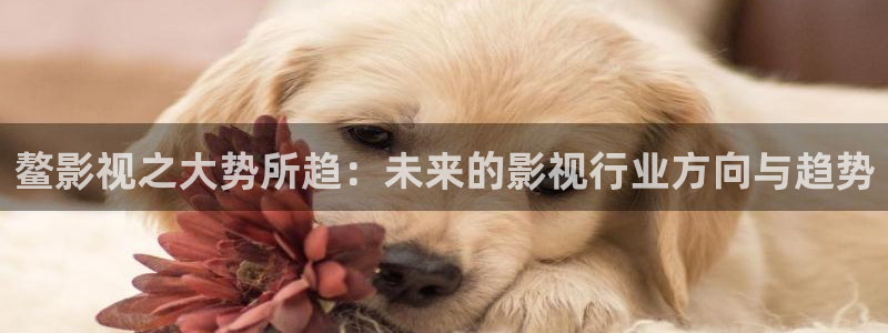 五杀影院在线观看免费播放：鳌影视之大势所趋：未来的影视行业方向与趋势