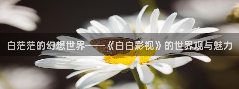 五杀影院官网入口