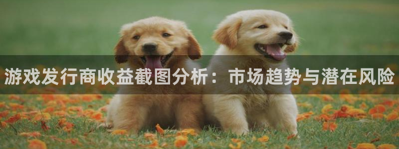 门徒娱乐注册官网入口：游戏发行商收益截图分析：市场趋势与潜在风险